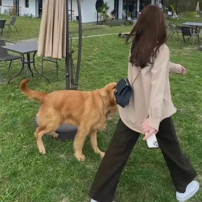 天网孽情
